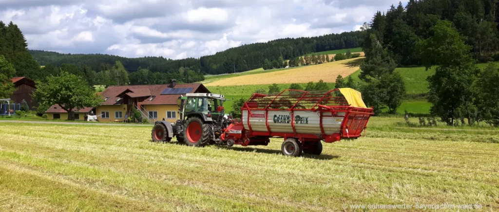 Urlaub Stadt oder Land Bauernhofurlaub in Deutschland Landurlaub in Bayern