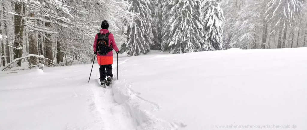 Winterurlaub in Deutschland Schneeschuhwanderung Bayerischer Wald